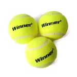 Pelotas winner